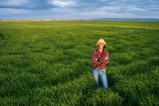 Proud female farmer is standing in her barley field and enjoying sunset.