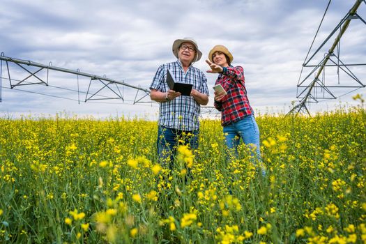 Proud two generations farmers are standing in their rapeseed field and examining plants.