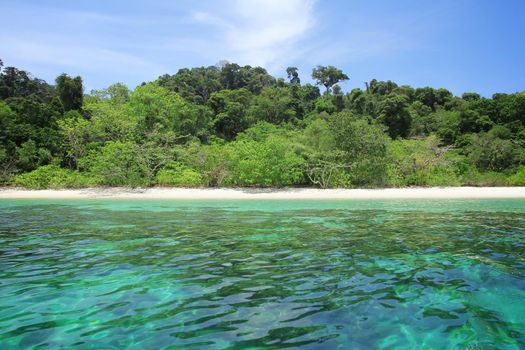 The island is forest green. And corals. Tourism of Thailand
