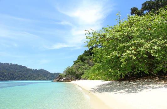 Sand, blue water, green trees on the island. And a blue sky.