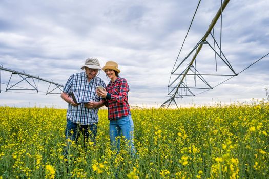 Proud two generations farmers are standing in their rapeseed field and examining plants.