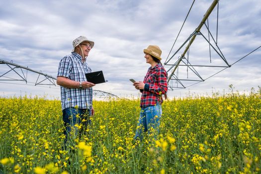 Proud two generations farmers are standing in their rapeseed field and examining plants.