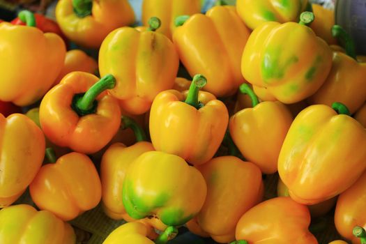 Yellow colorful bell peppers, natural background