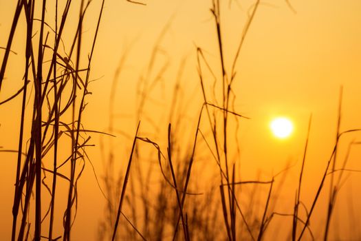 Prairie sky and sun in the evening.
