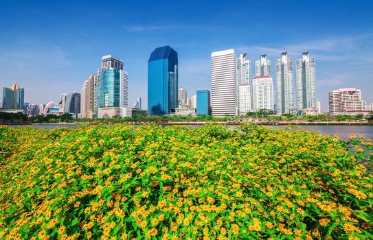 Garden with yellow flowers Leisure areas of the city