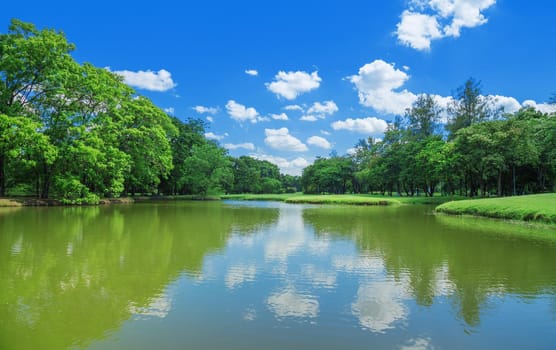 The lake in the park with green trees and bright sky.