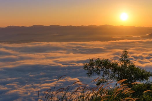 Sunrise scenery The peaks are foggy white, beautiful.