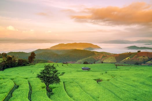 Beautiful morning scenery With the countryside, farmland, planting rice on the hillside