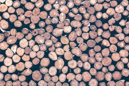 Pile of wood logs ready for winter