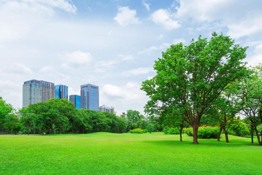 green grass field in big city park