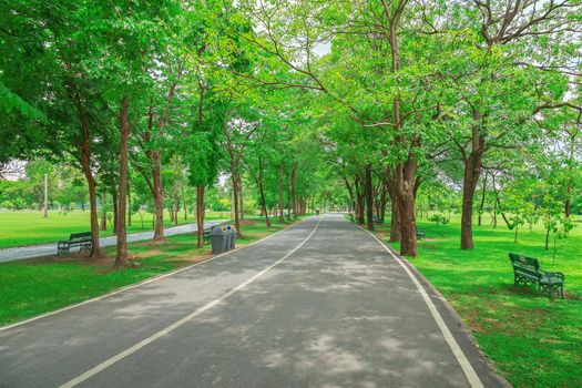 Road to the exercise at Chatuchak Park in Bangkok.