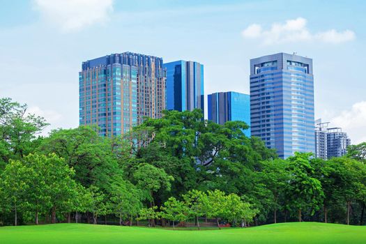 green grass field in big city park