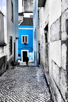 Narrow and colorful streets with majestic facades, windows and balconies of Lisbon city in Portugal in a cloudy day