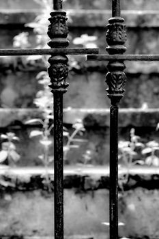 Forged metal fence and Stone staircase with green vegetation in the background in Lisbon