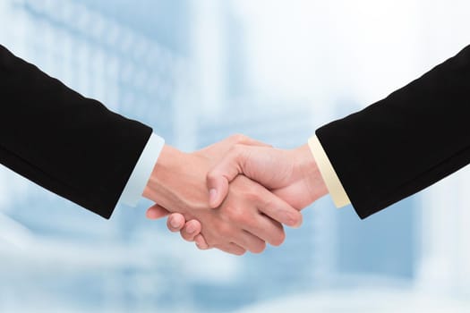 Business handshake and business people concepts. 