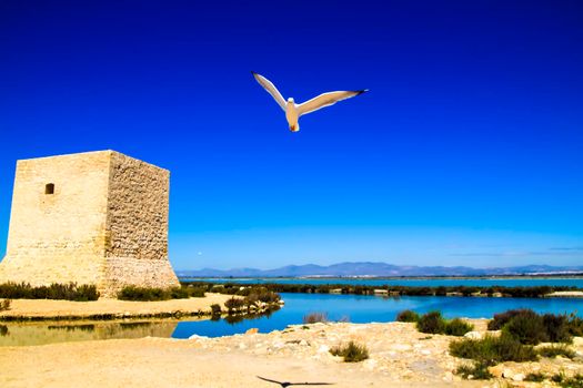 Beautiful Tamarit tower surrounded by salt lagoons in Santa Pola, Alicante, Spain
