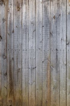 gray dry wooden planks wall suface texture and background.