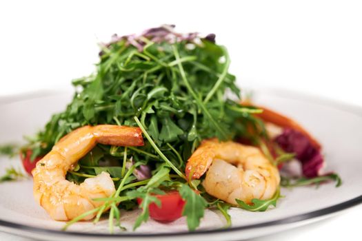 Close up of appetizing salad with arugula,tomatoes and tasty shrimps in beautiful white plate. Concept of delicious dish with healthy ingredients for body weight maintenance.
