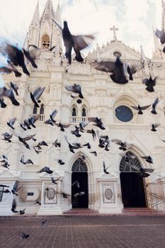 Santa Ana Cathedral and the birds. Santa Ana, El Salvador.