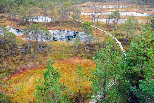 Lahemaa National Park in Estonia.