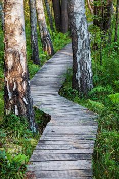 Poleski National Park in Poland.  Lubelskie, Poland.