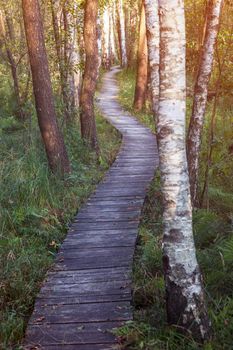 Poleski National Park in Poland.  Lubelskie, Poland.