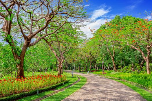 The path is laid out with a stone pavement in a beautiful green park