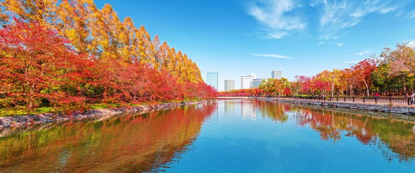 autumn scenery and modern buildings around moat river of osaka castle osaka japan