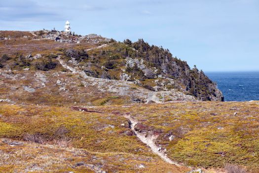 Bay Bulls Lighthouse, Newfoundland. Newfoundland and Labrador, Canada.