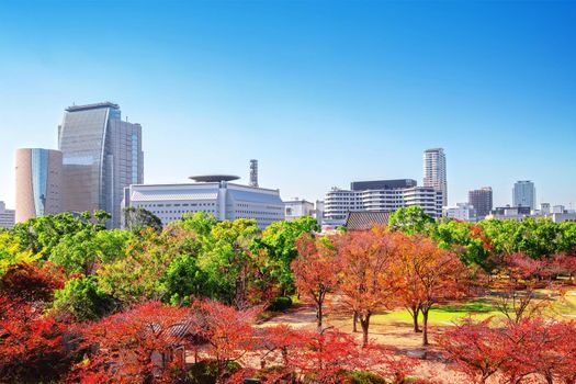 City and park views During the autumn leaves in Osaka, Japan