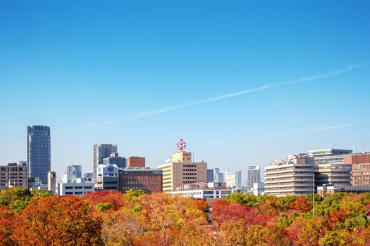 City and park views During the autumn leaves in Osaka, Japan