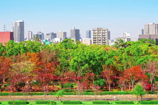 City and park views During the autumn leaves in Osaka, Japan