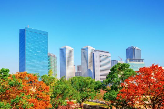 City and park views During the autumn leaves in Osaka, Japan