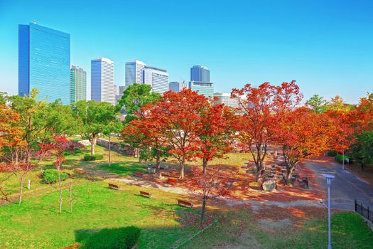 City and park views During the autumn leaves in Osaka, Japan