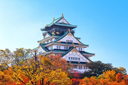 Osaka Castle in osaka city with autumn leaves