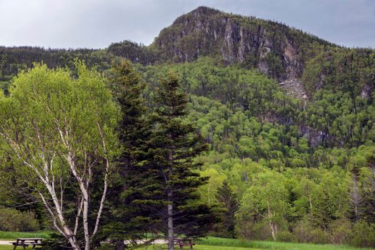 Gros Morne National Park in Newfoundland. St. John's, Newfoundland and Labrador, Canada.