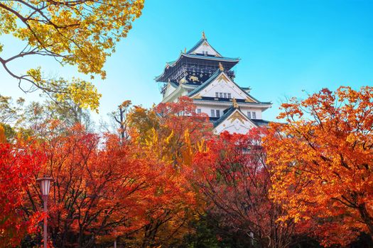 Osaka Castle in osaka city with autumn leaves