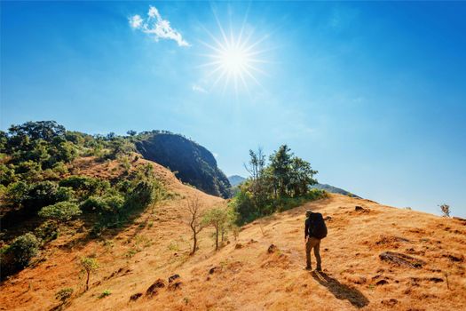 Travel and hiking along the forest path in autumn season