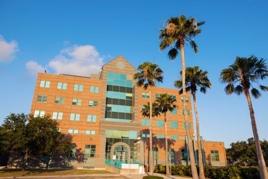 Corpus Christi City Hall. Corpus Christi, Texas, USA.