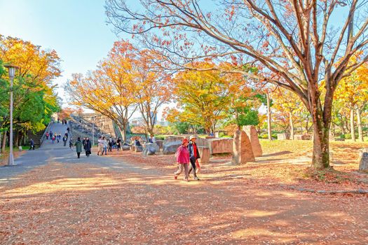 Osaka, Japan - 21 Nov 2018 - Autumn scenery In the area around Osaka Castle