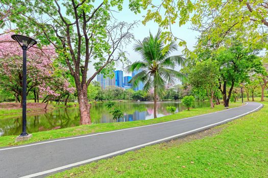 Pathway through green trees at public park