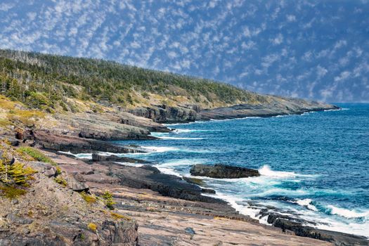 Newfoundland shore. Newfoundland and Labrador, Canada.