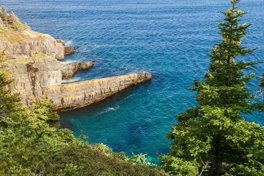 Newfoundland shore. Newfoundland and Labrador, Canada.