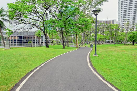 Pathway through green trees at public park