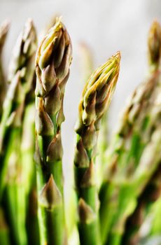 Detail of green uncooked asparagus with beautiful tips