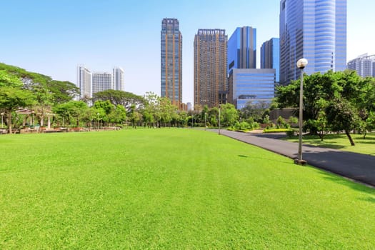 Beautiful garden in daytime outdoor nature background.