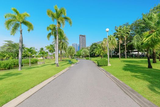 Pathway through green trees at public park