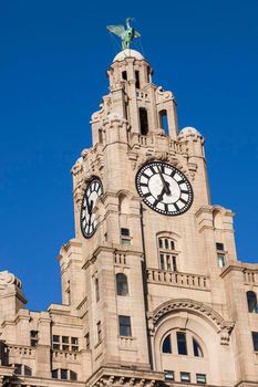 Royal Liver Building in  Liverpool, North West England, UK.