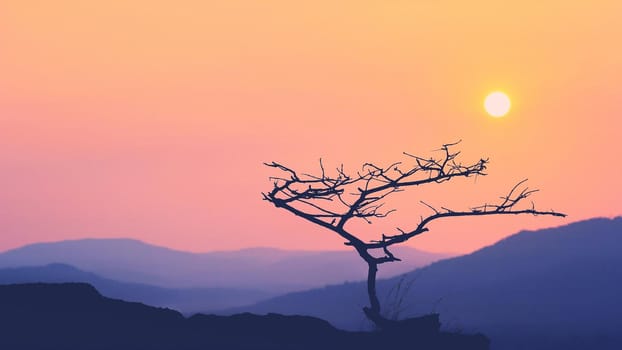 Silhouettes of branches with Orange Sun On Background.