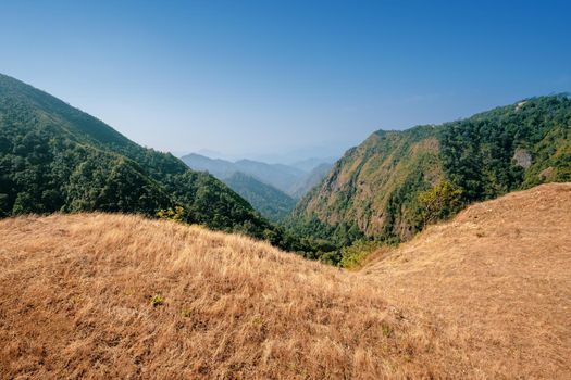 Lawn on the top of the hill, the view point